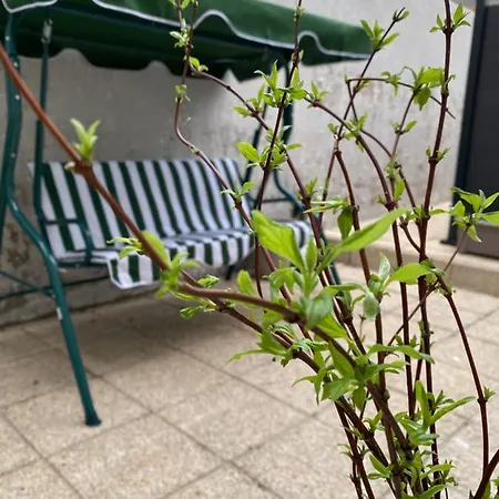L'emeraude Avec Salle De Sport